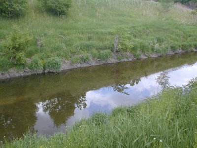 Red Run Creek